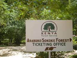 Arabuko Sokoke Forest