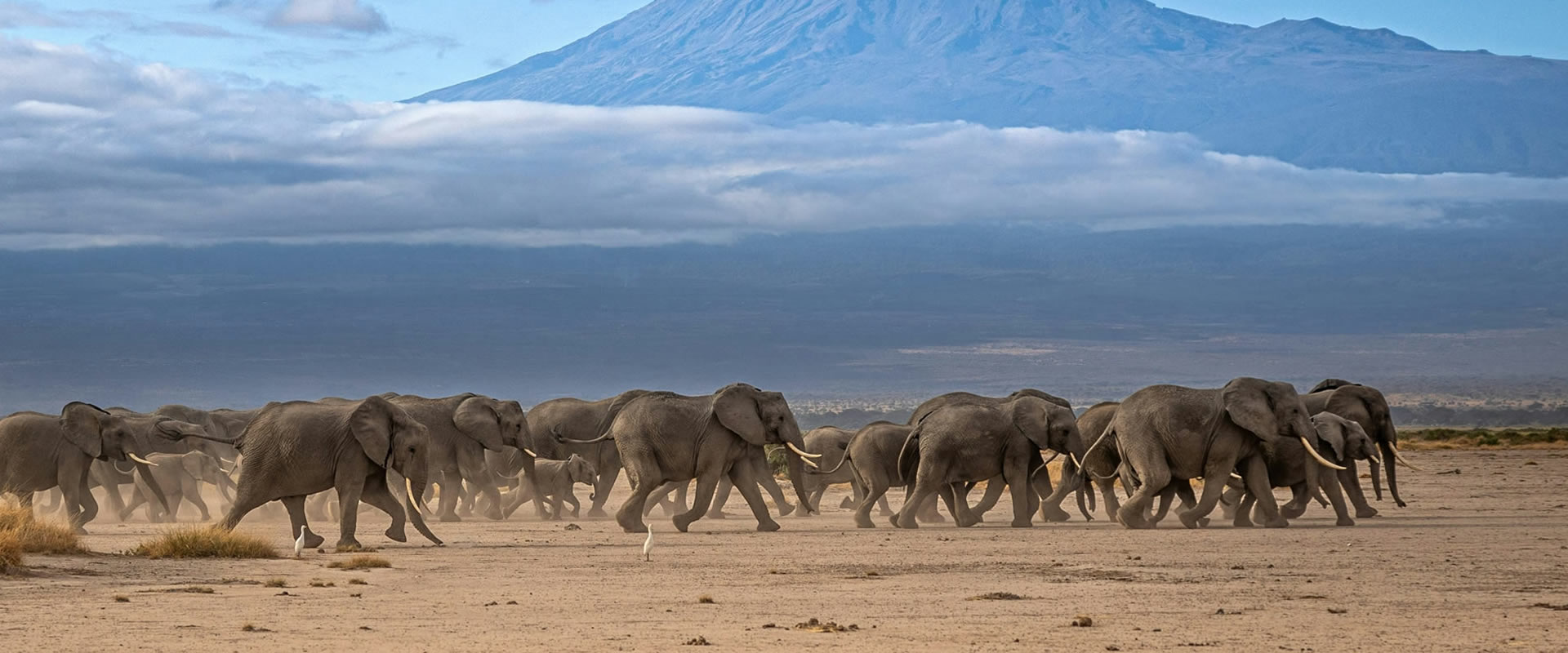 Tsavo East Salt Lick Amboseli Safari